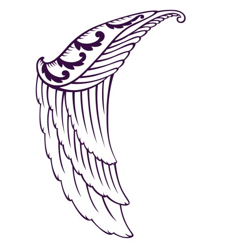 Dramatic Angel Wing Vector Image