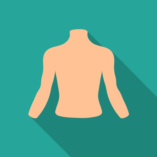 Chest Muscles Vector Images (over 5,500)