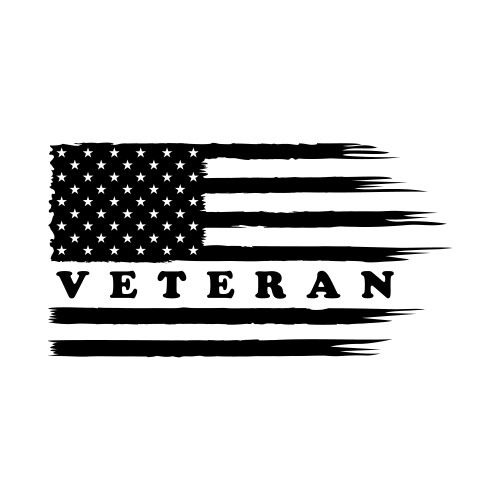 Proud veteran us army - soldier Royalty Free Vector Image