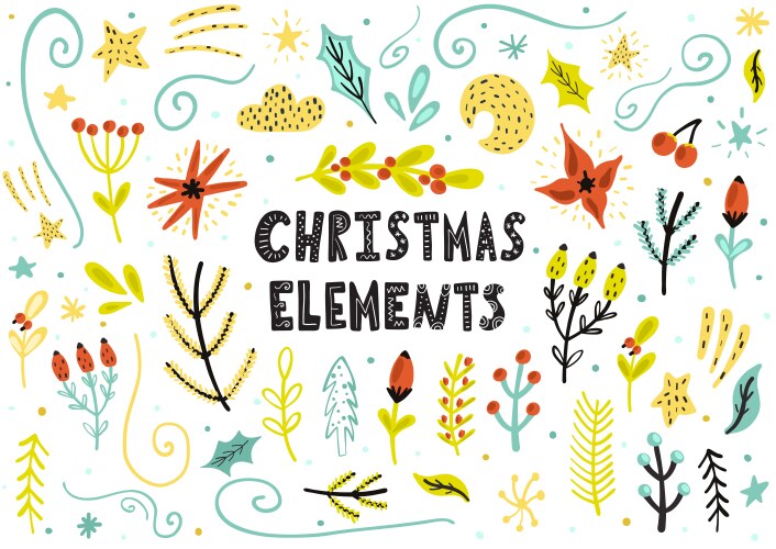 Christmas Floral Winter Elements Vector Image