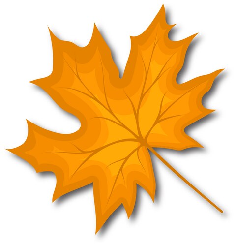 Cartoon red maple leaf Royalty Free Vector Image