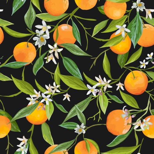 Seamless pattern orange fruits background Vector Image