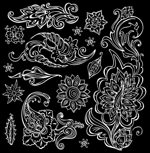 Elegant Floral Swirls Vector Image