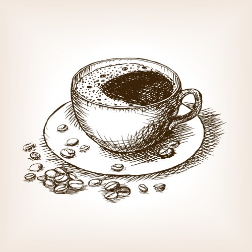 Hand Drawn Coffee Sketch Vector Image