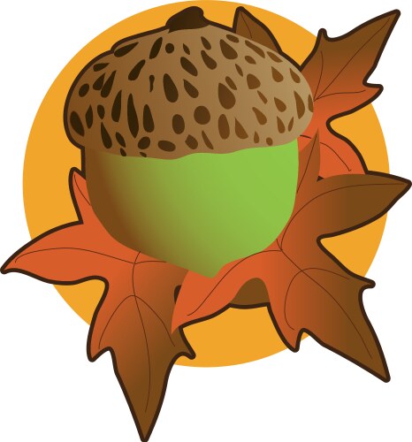 Autumn Acorn with Falling Leaves Vector Image