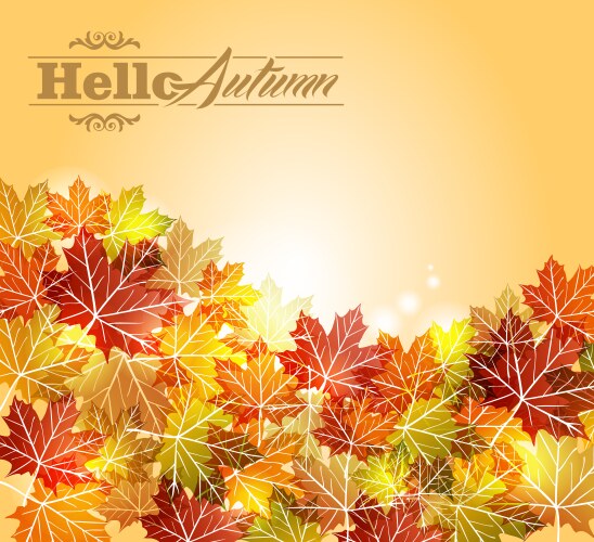 Autumn Leaves Transparent Vector Images (over 2,000)