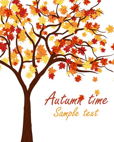Autumn tree maple Royalty Free Vector Image - VectorStock