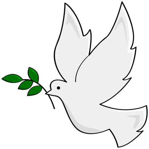 peace dove vector image