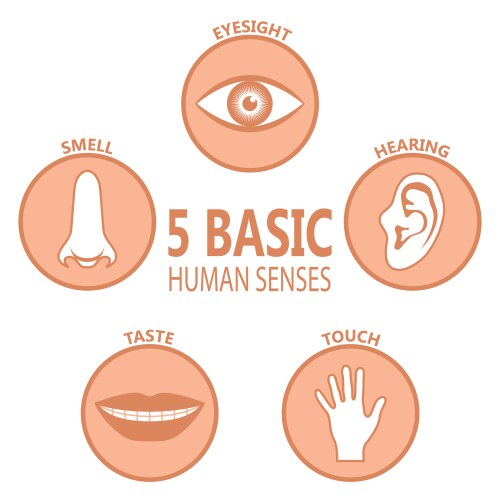 Human sense icon set five senses collection Vector Image
