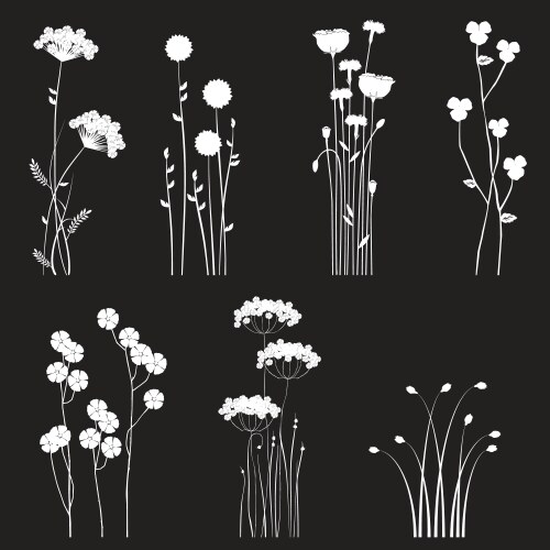 Wildflower Sketch Collection Vector Image