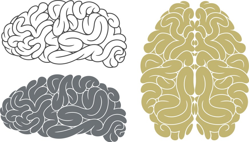 Sport Mind Vector Images (over 9,500)