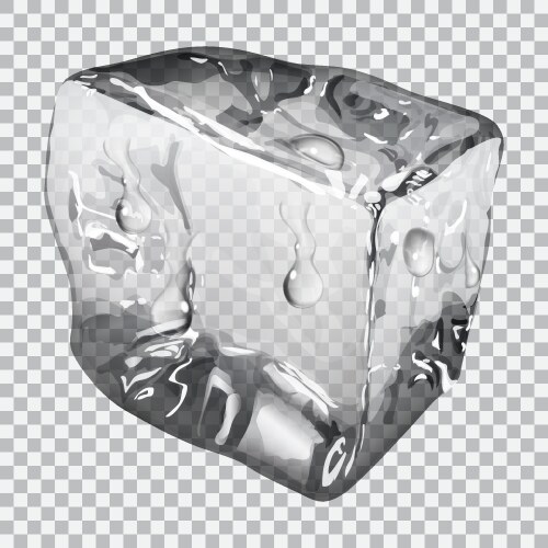 Single ice cube isolated on a white background Vector Image