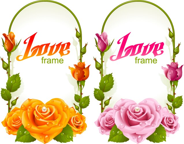 White rose design elements Royalty Free Vector Image