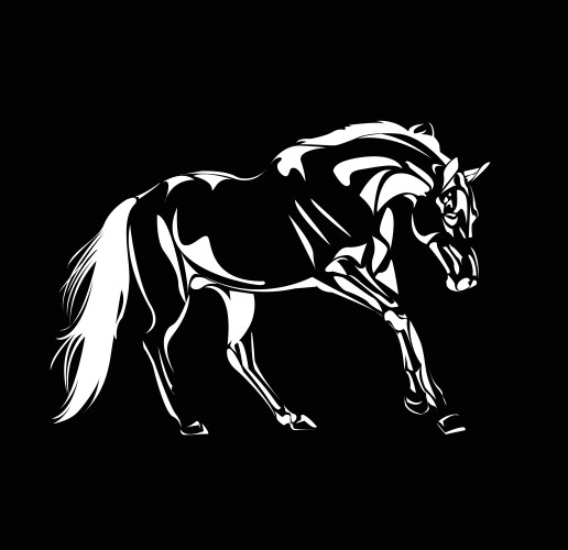 Elegant Horse Sketch Vector Image