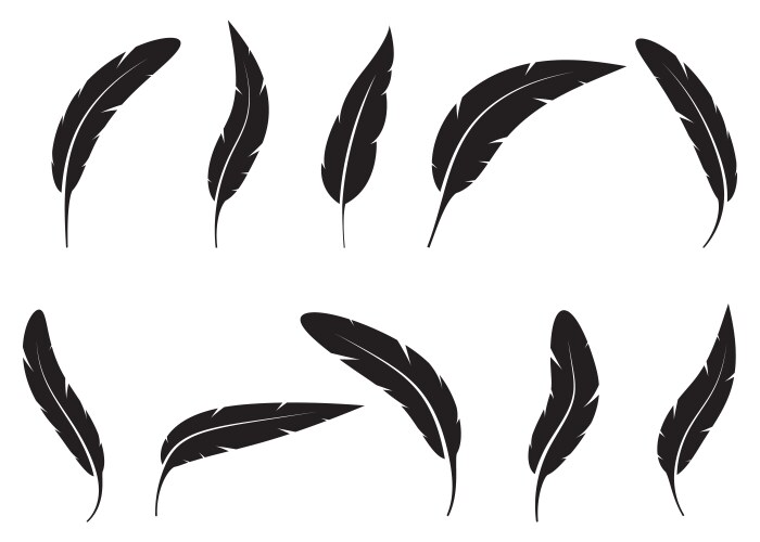 Realistic detailed feathers set hand drawn Vector Image