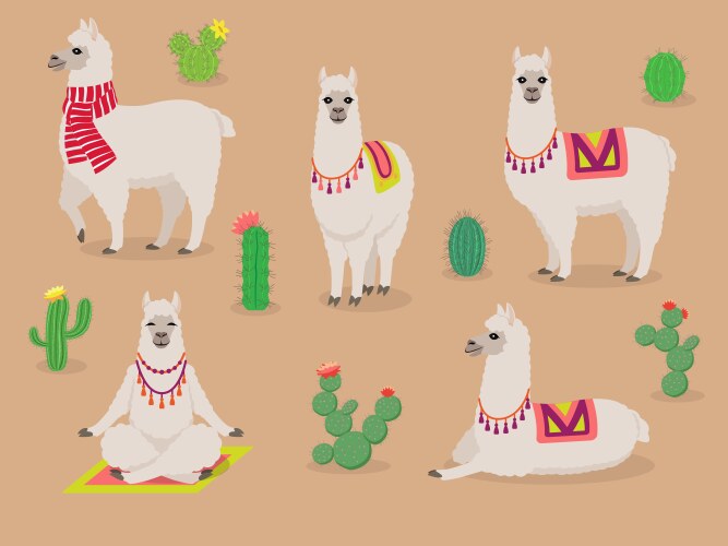 Cute Llamas in Desert Poses Vector Image