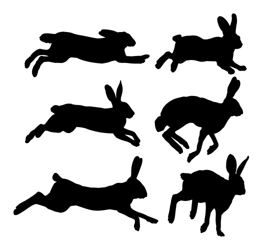 Set silhouettes of hares Vector Image