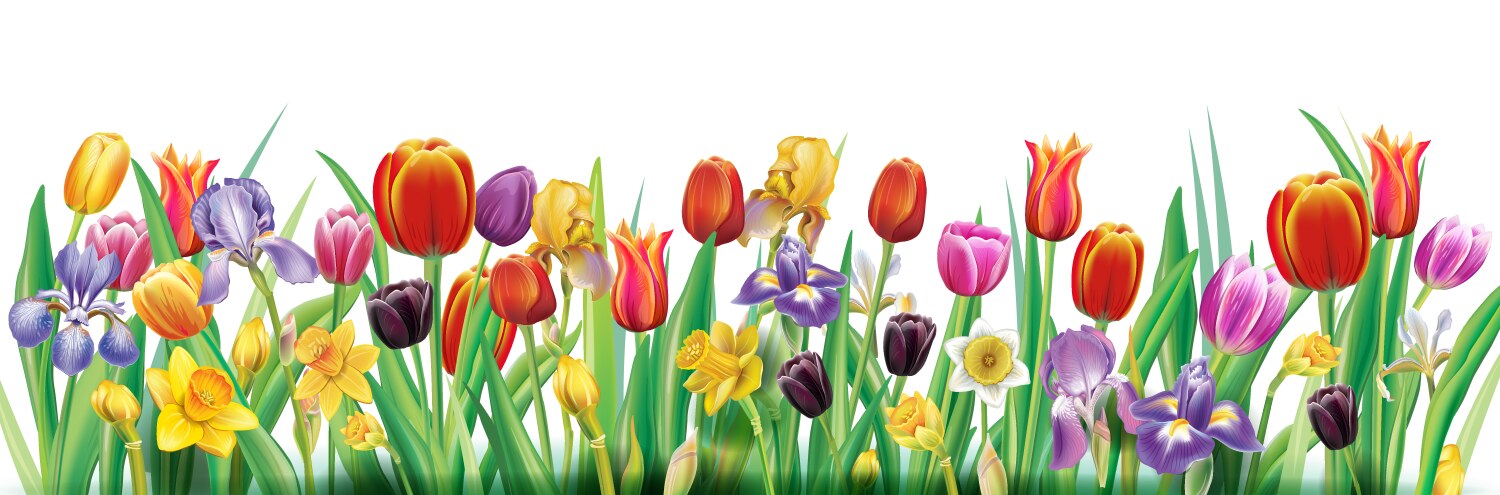 Banner with multicolor spring flowers Royalty Free Vector