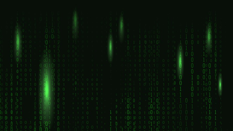 Digital Binary Code Matrix Background vector image