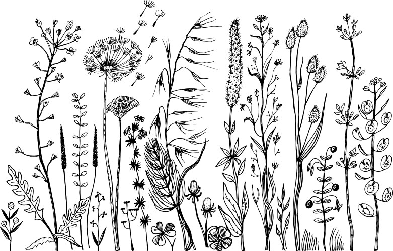 Botanical Wedding Flowers Set Vector Image