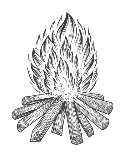 Bonfire flame and burn firewood vintage engravin Vector Image