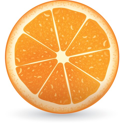 Photo-realistic orange slice Royalty Free Vector Image