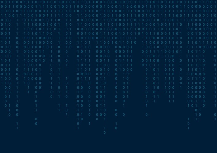 Digital Binary Code Pattern vector image