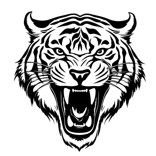 Head of a roaring tiger hand drawn sketch Vector Image