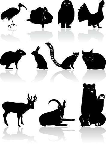 Animal Silhouettes Collection Vector Image