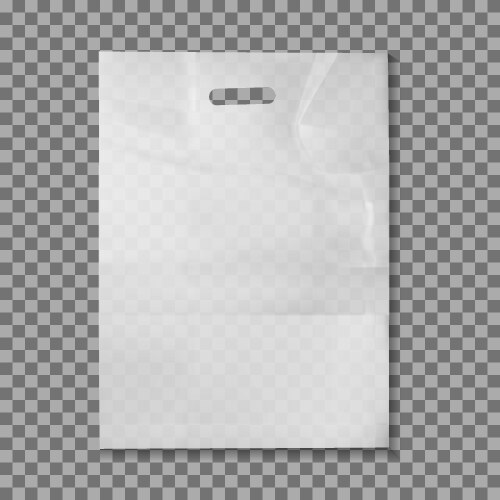 Bag vector image