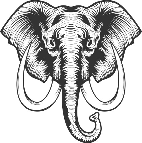 Head elephant drawing Royalty Free Vector Image