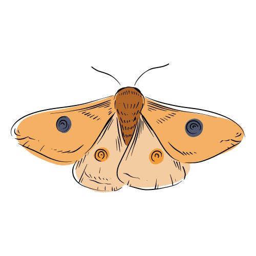 Bee wasp leg wing sketch insect Royalty Free Vector Image
