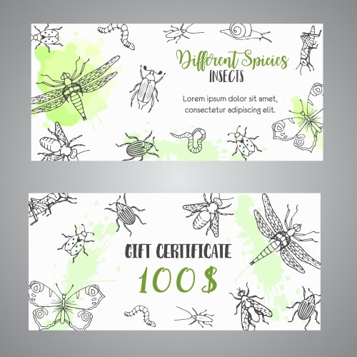 Hand Drawn Bug Gift Certificate - Pest Control Vector Image