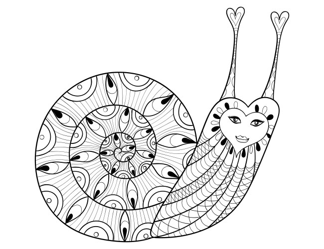 Entangle snail for adult coloring pages art vector image