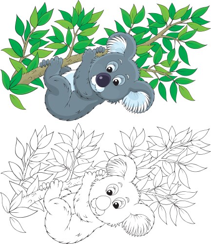Koala on a tree Royalty Free Vector Image - VectorStock