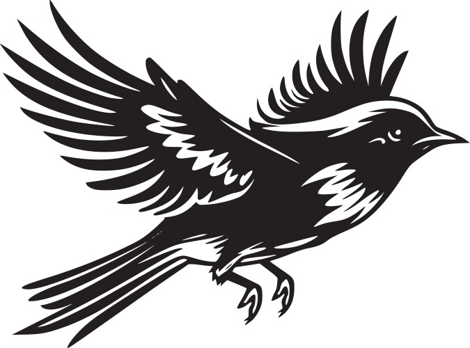 Black and white of a flying bird Royalty Free Vector Image