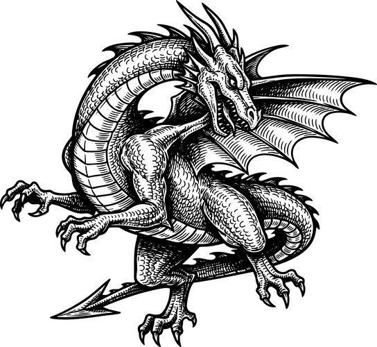 European Dragon Sketch Vector Image