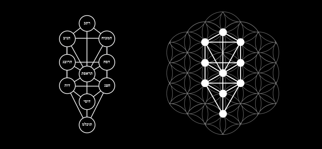 Kabbalah symbol isolated sacred geometry vector image