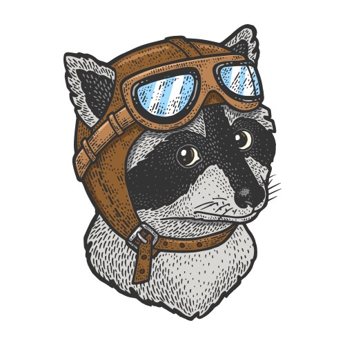 Raccoon Aviator Helmet Sketch Vector Image