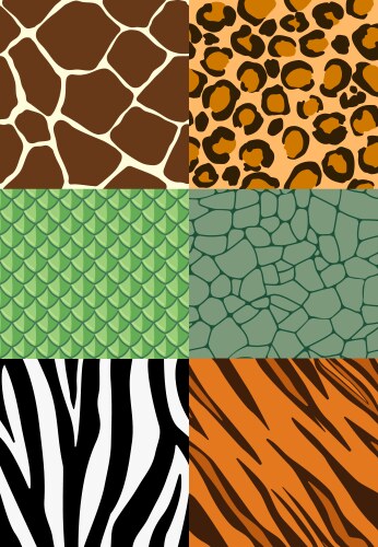 animal print seamless patterns vector image