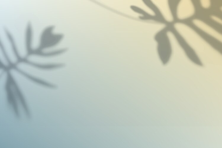 Abstract gradient background with leaf shadow vector image