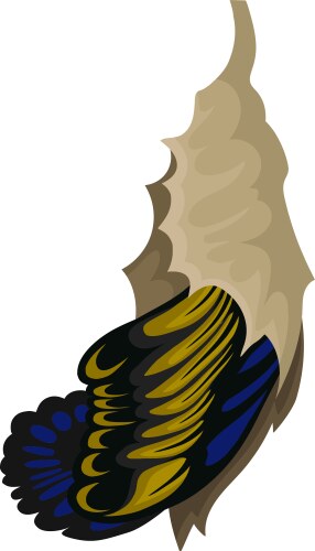 Butterfly with blue-yellow wings hatching from Vector Image