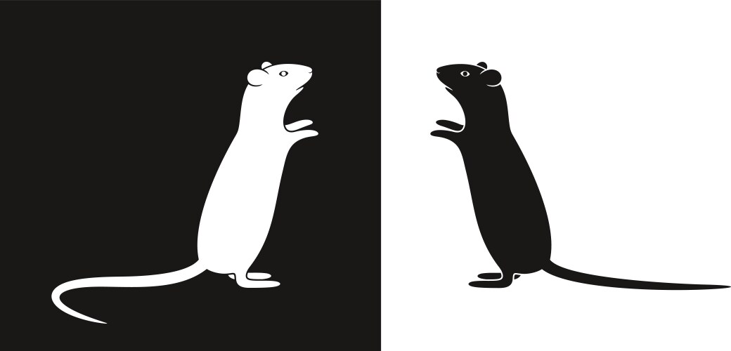 Mouse vector image