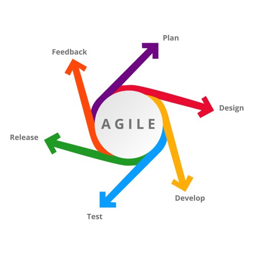 Agile diagram with elements for development vector image