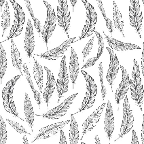 Seamless pattern with decorative feathers Vector Image