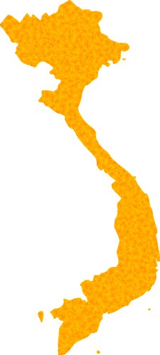 Golden Vietnam Map Texture Vector Image