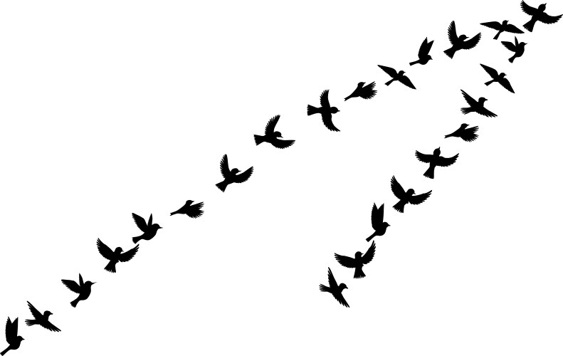 Flying birds silhouettes Vector Image