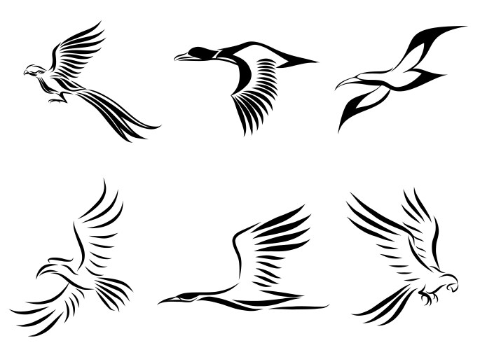 Flying bird Royalty Free Vector Image - VectorStock