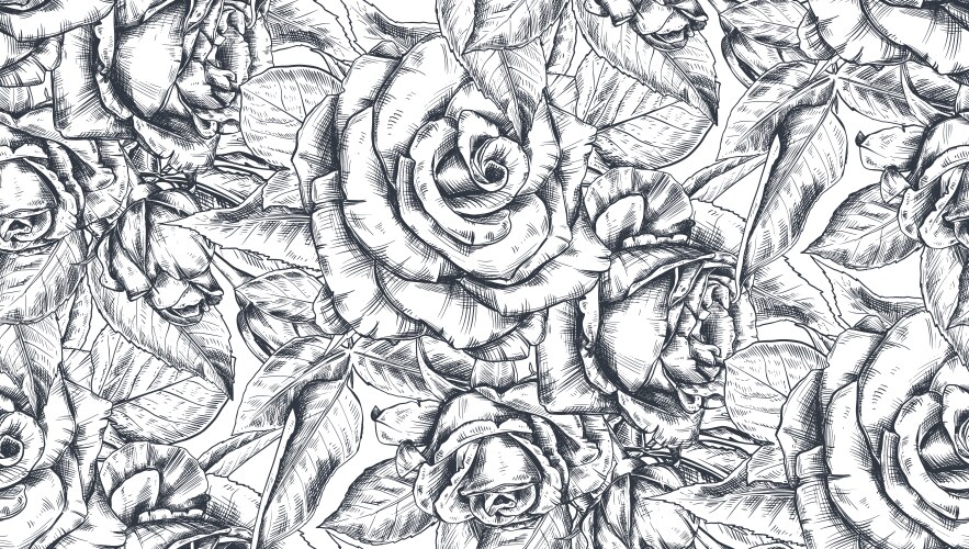 Hand drawn rose flowers bouquet isolated on white Vector Image