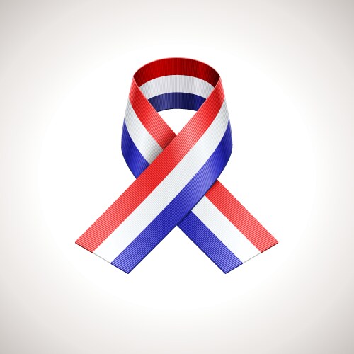 American Tricolor Ribbon Vector Image